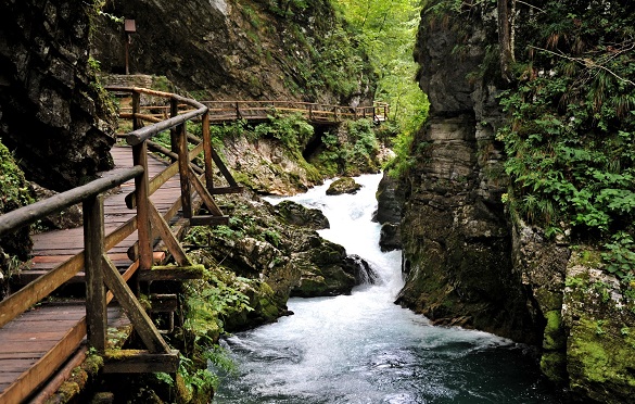 Friday Blog Probajte ovu vrstu odmora Kanjon Vintgar Slovenija