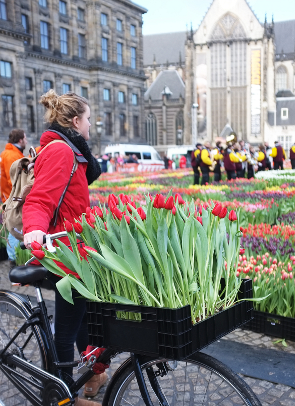 Najzabavniji januar u Evropi - Pronađite dašak proleća u Amsterdamu za dan Tulipana 2